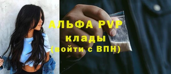 СК Бородино