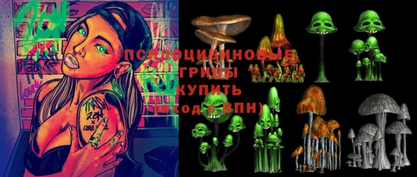 СК Бородино