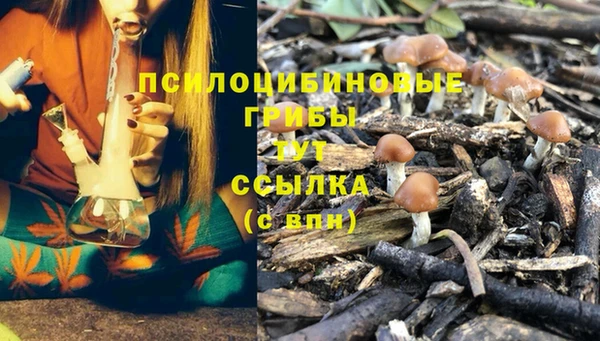 СК Бородино