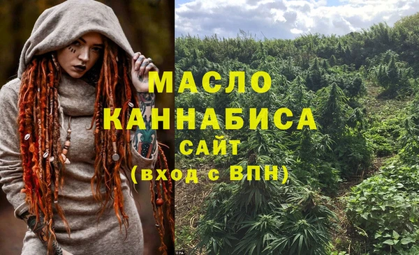 СК Бородино
