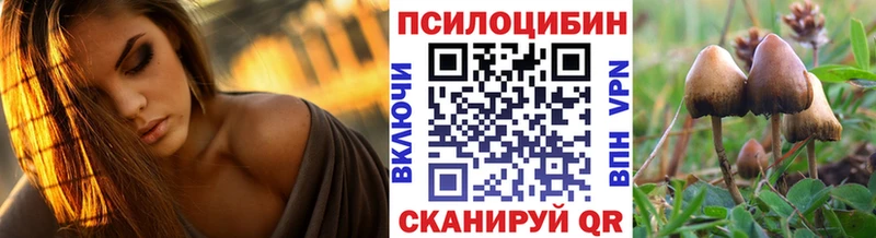 Псилоцибиновые грибы MAGIC MUSHROOMS  Купить  Саратов 